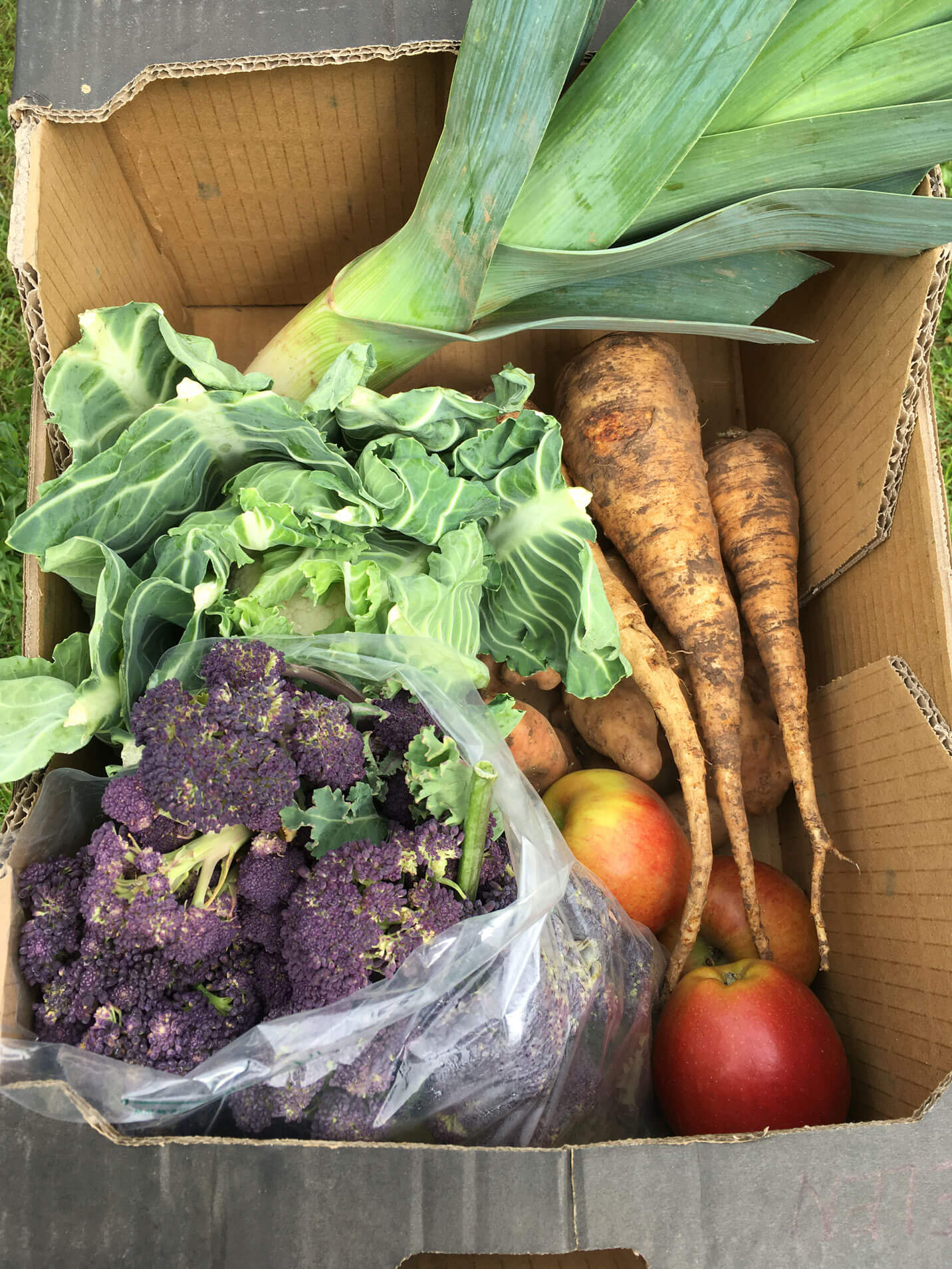 Risk management and a vegetable box