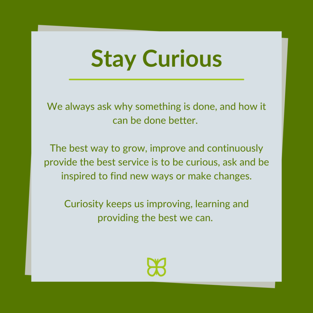 Stay Curious