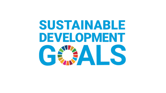Sustainable Development Goals logo featured image